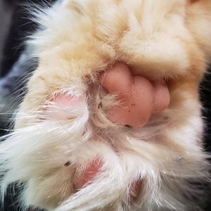 Meet your Posher, Vicky